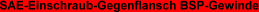 SAE-Einschraub-Gegenflansch BSP-Gewinde