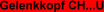 Gelenkkopf CH...U